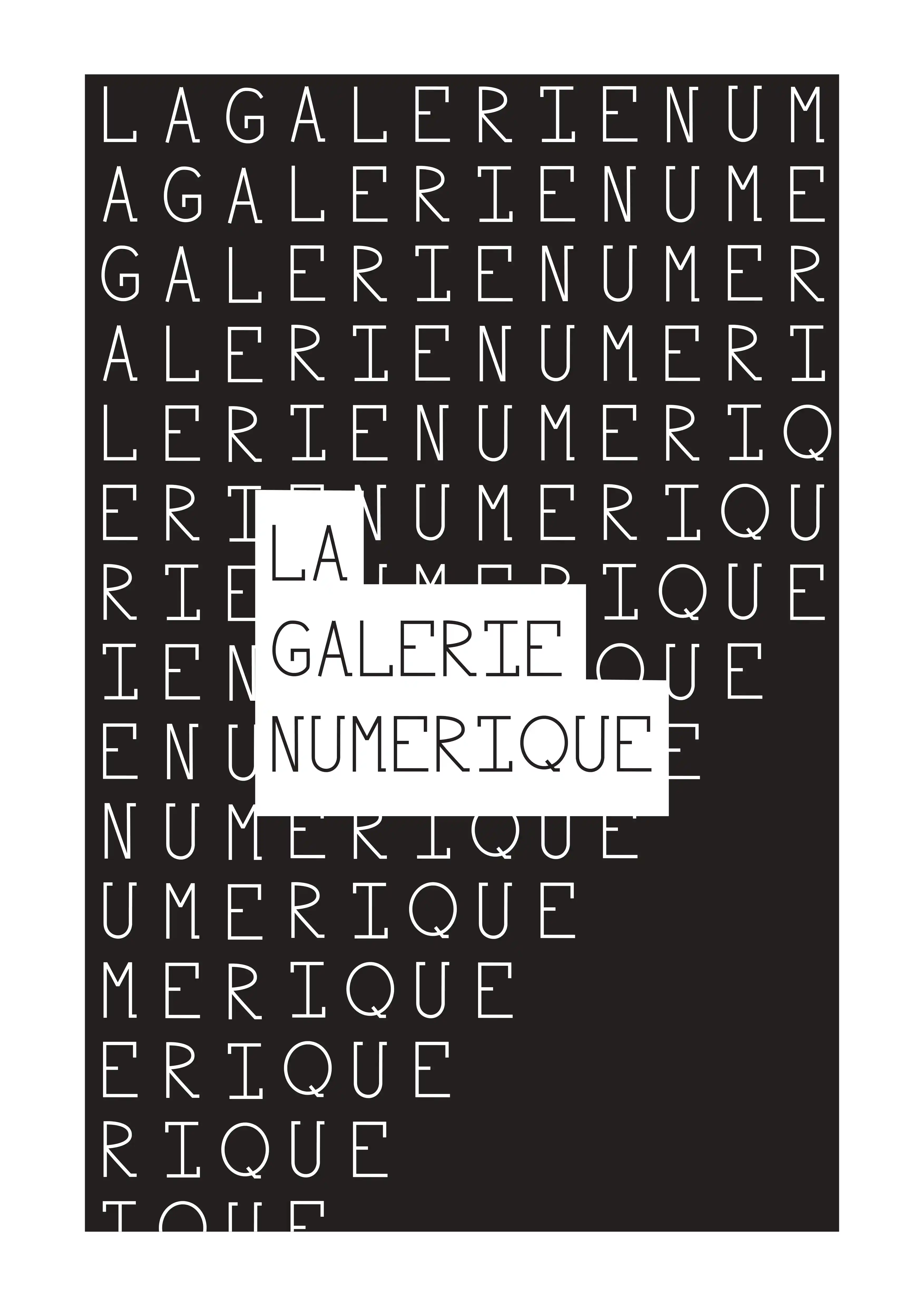 Image du projet La Galerie Numérique