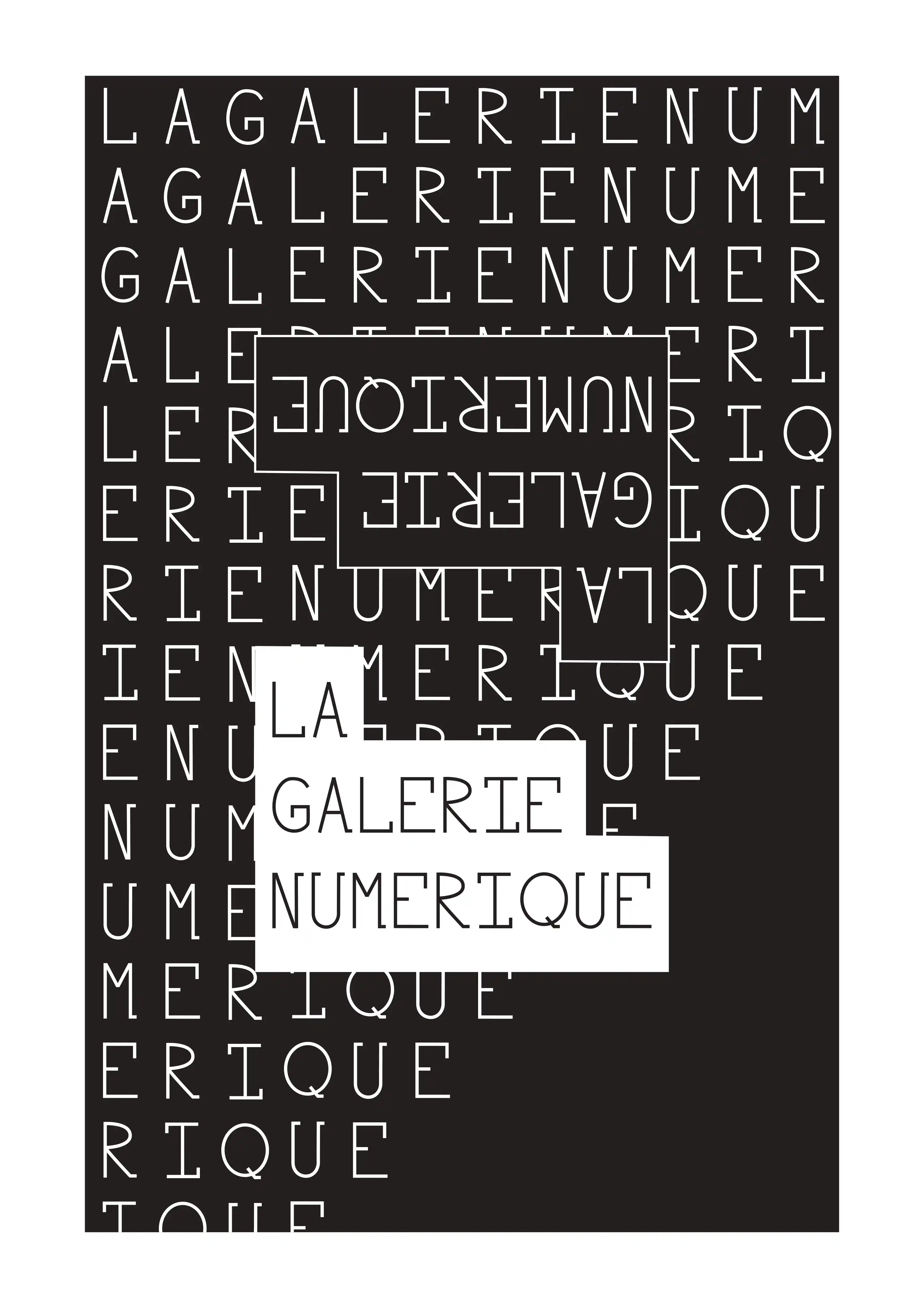 Image du projet La Galerie Numérique