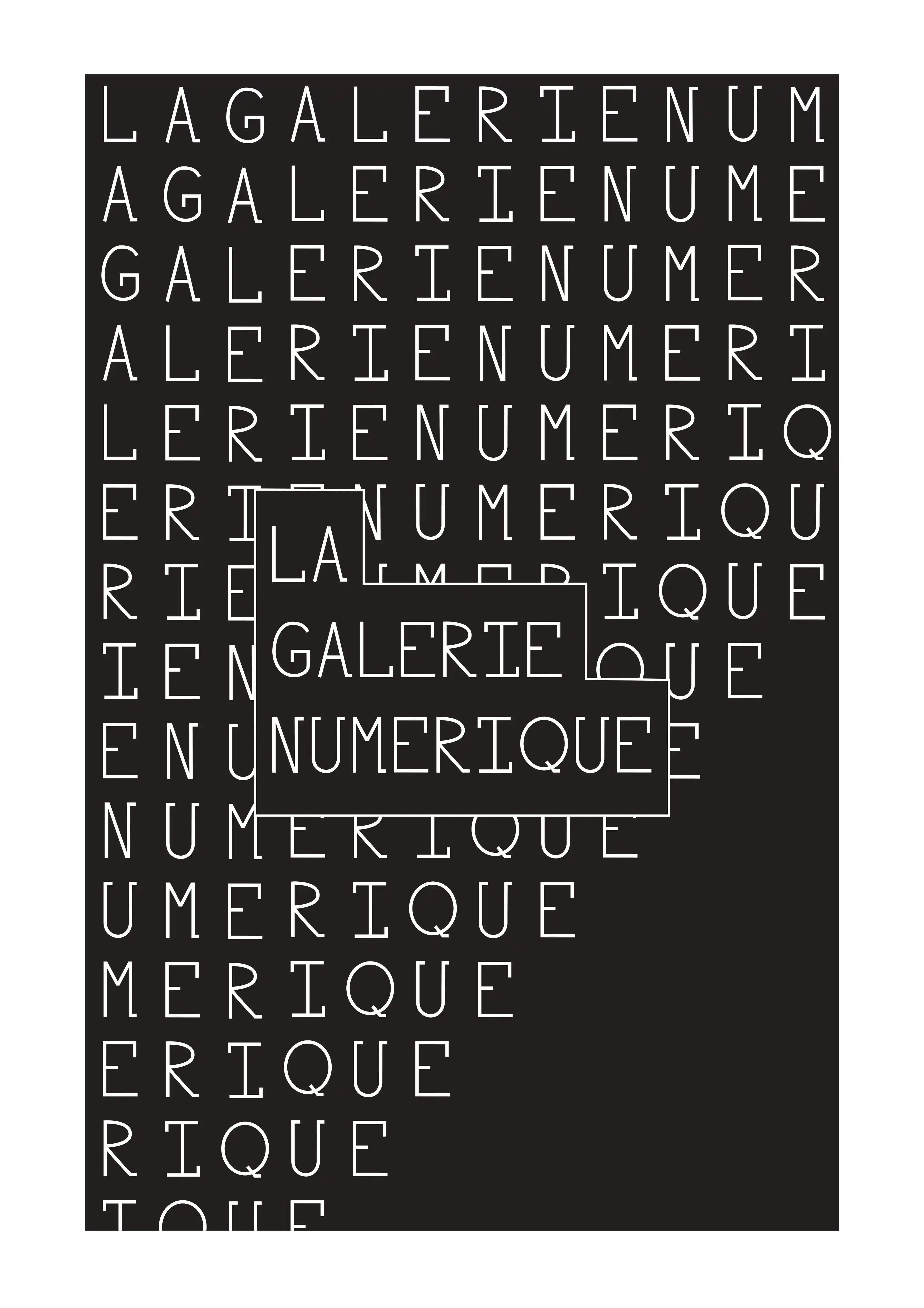 Image du projet La Galerie Numérique