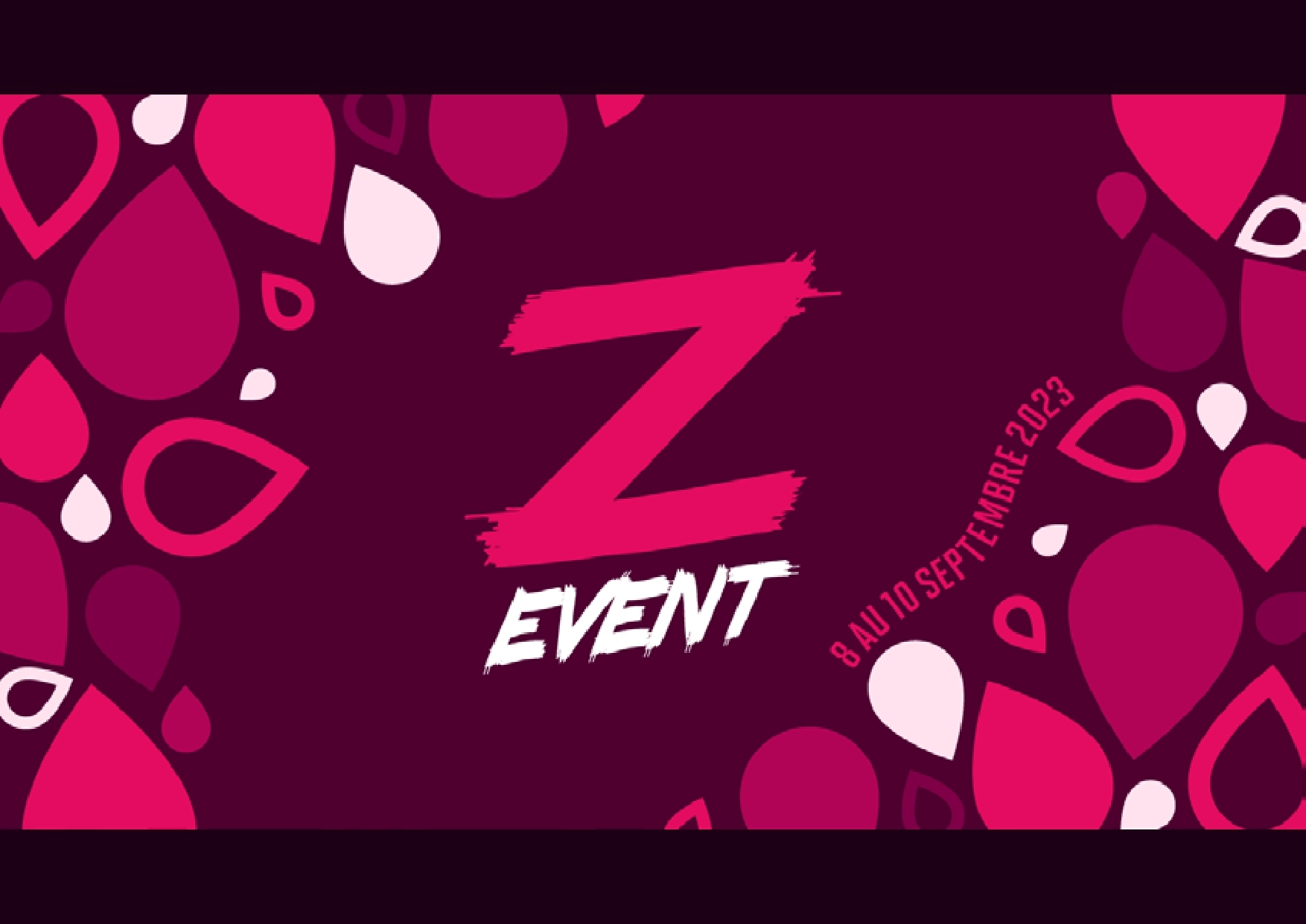 Image du projet Zevent